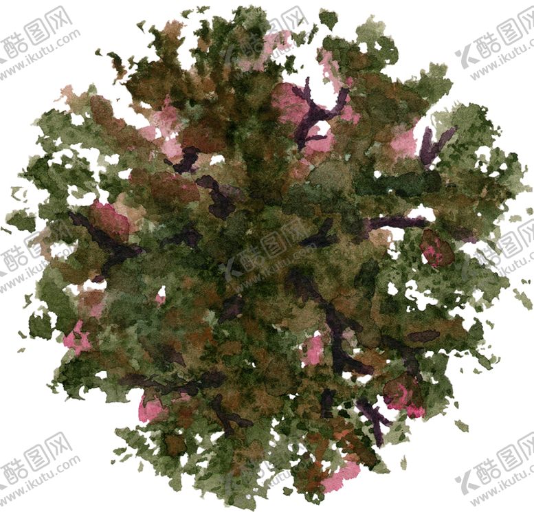 编号：40749005111106258938【酷图网】源文件下载-手绘植物