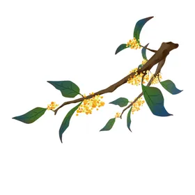 手绘桂花png免抠素材糕八月卡通中秋