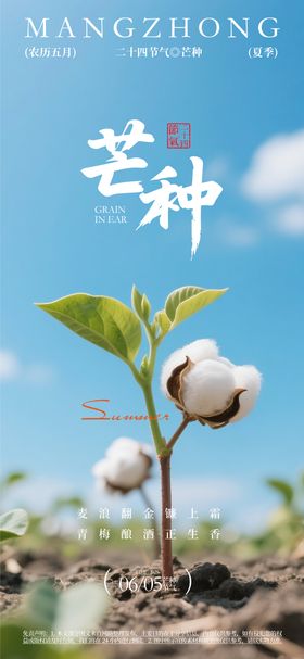 芒种24节气海报