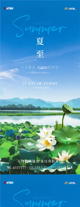 地产夏至节气海报二十四荷花日