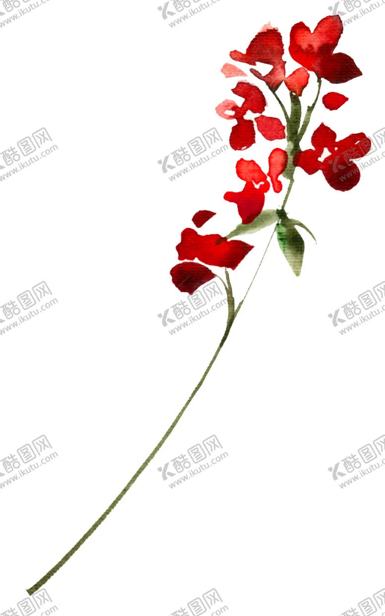 编号：25171801300555554541【酷图网】源文件下载-水彩花