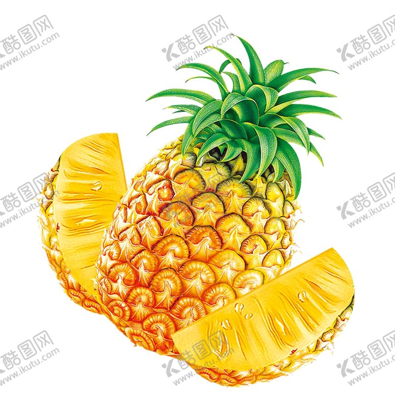 编号：80671501132258176633【酷图网】源文件下载- 菠萝蜜素材