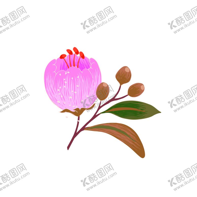 编号：28403405091842547381【酷图网】源文件下载-鲜花素材