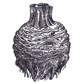 餐饮食物插画元素