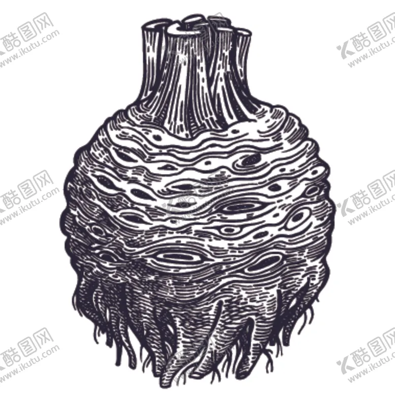 编号：89634306261612424392【酷图网】源文件下载-餐饮食物插画元素