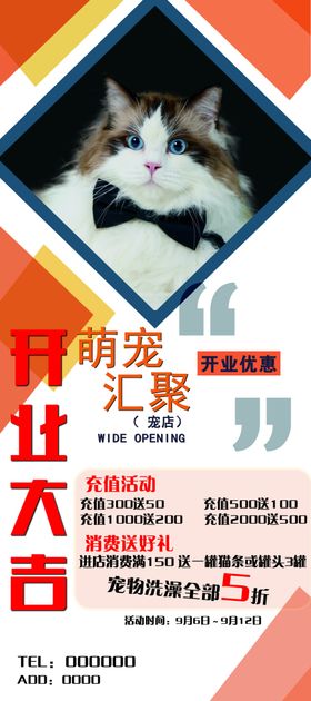 宠物店猫猫展架