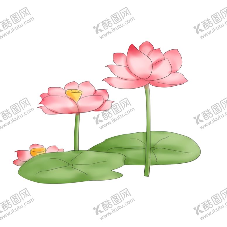 编号：70619201250435394204【酷图网】源文件下载-荷花素材