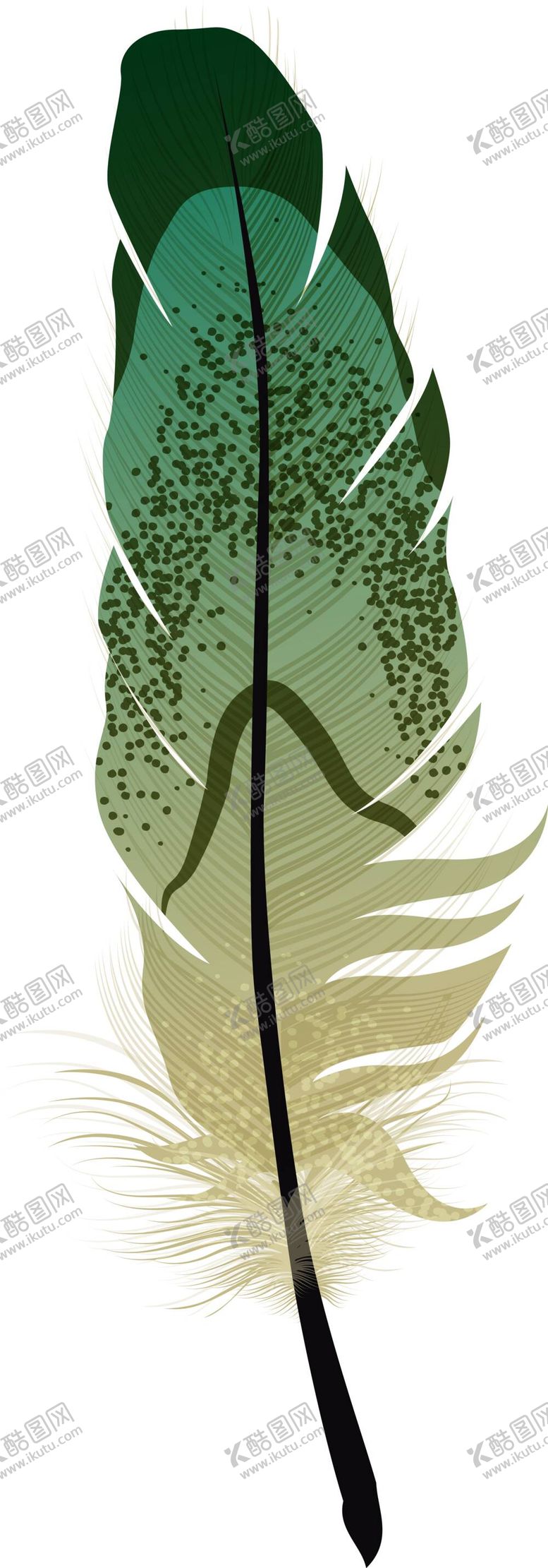 编号：86906710160113068950【酷图网】源文件下载-羽毛 素材