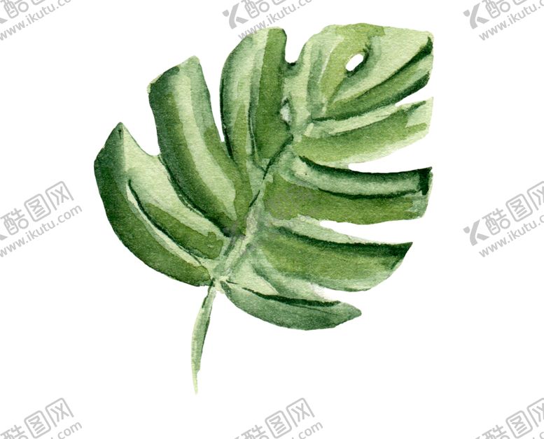 编号：41761110040933236585【酷图网】源文件下载-绿色装饰