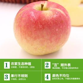 丰县丑苹果大沙河丑苹