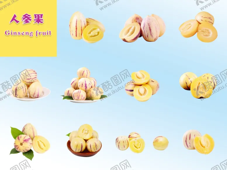 编号：53237506292149563112【酷图网】源文件下载-人生果
