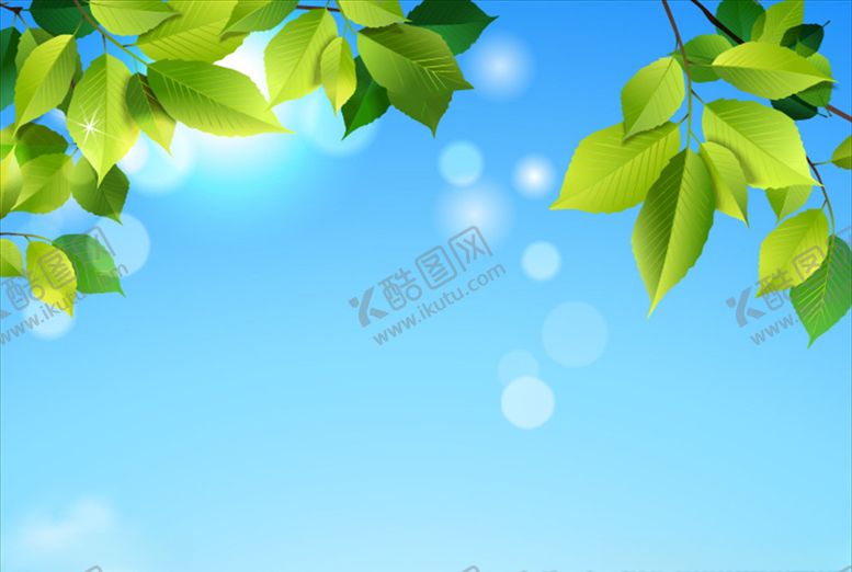 编号：81152406240728185383【酷图网】源文件下载-矢量树叶