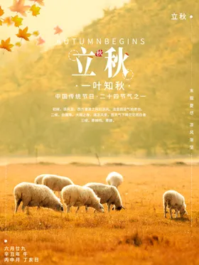 立秋人物插画一叶知季分