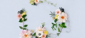 淡雅淡蓝色花朵花边