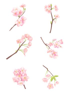 浪漫粉色樱花手绘水彩小清新春天