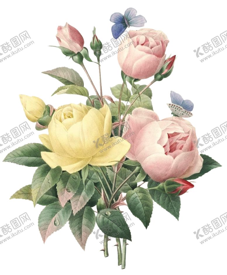 编号：37031506281453581335【酷图网】源文件下载-复古花