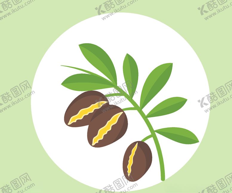 编号：31443306191124393468【酷图网】源文件下载-手绘植物