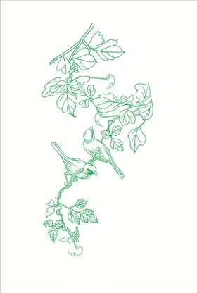 传统鸟 缠枝花鸟 