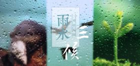 二十四气节雨水三候