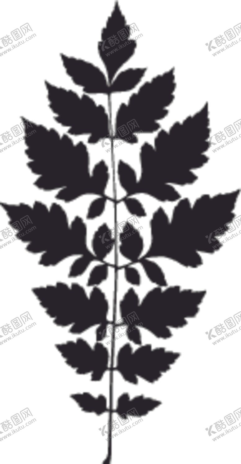 编号：18913209240250472246【酷图网】源文件下载-植物系列树叶