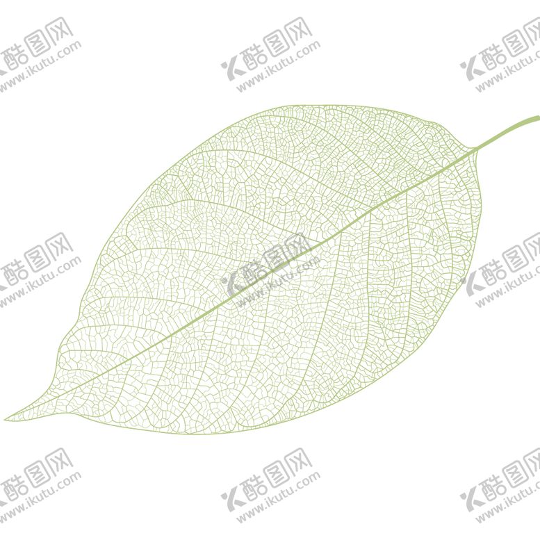 编号：52659309181634009687【酷图网】源文件下载-叶子