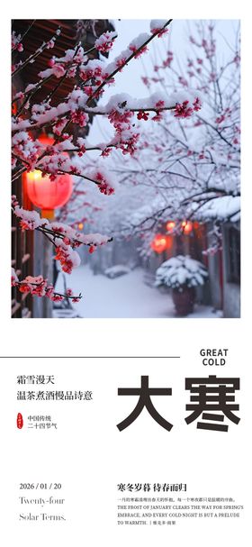 大寒节气海报