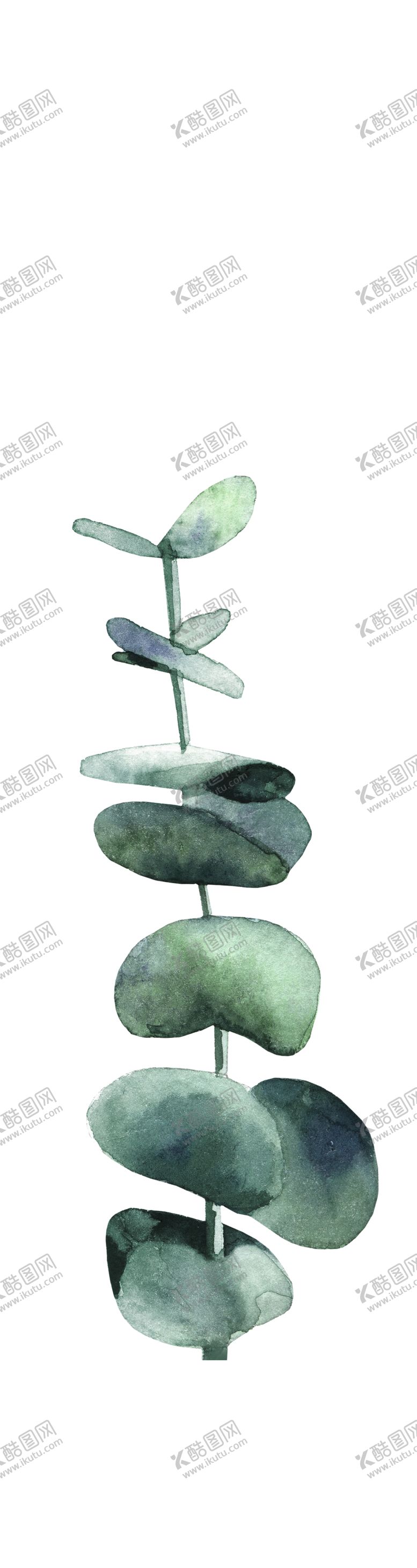 编号：64493607020921017732【酷图网】源文件下载-热带植物尤加利