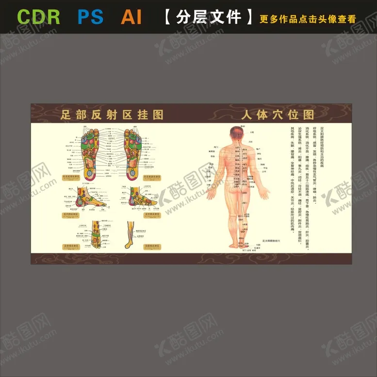 编号：31655110252257185288【酷图网】源文件下载-穴位图