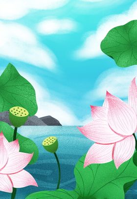 荷花背景