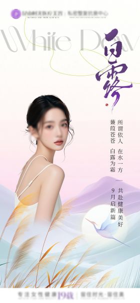 白露节日海报