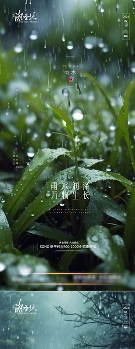 雨水节气系列海报