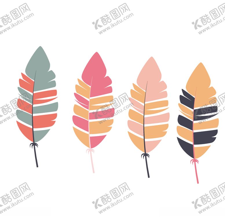 编号：90271110011622466342【酷图网】源文件下载-羽毛