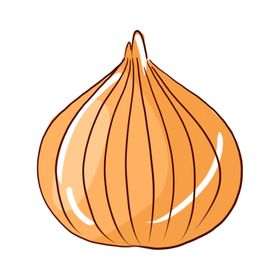 蒜头手绘