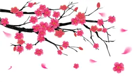 梅花素材中国古风图片寒