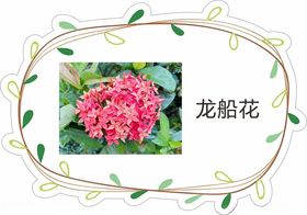 春季花草边框