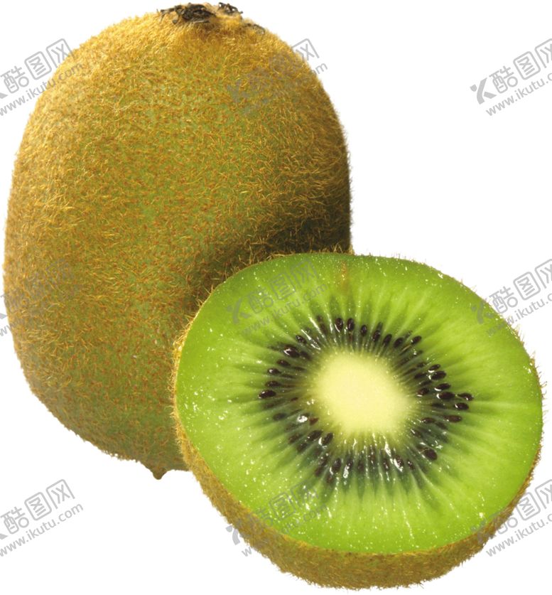 编号：54402709091054229162【酷图网】源文件下载-猕猴桃