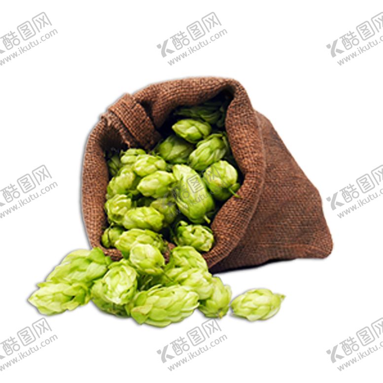 编号：53142307122149487795【酷图网】源文件下载-水果