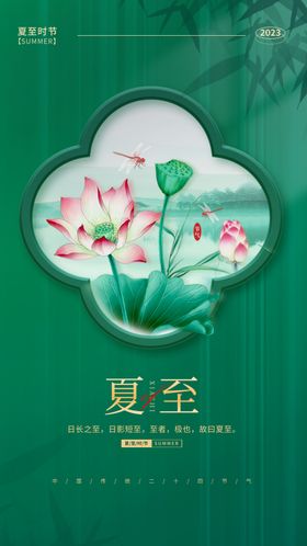 夏至插画荷花