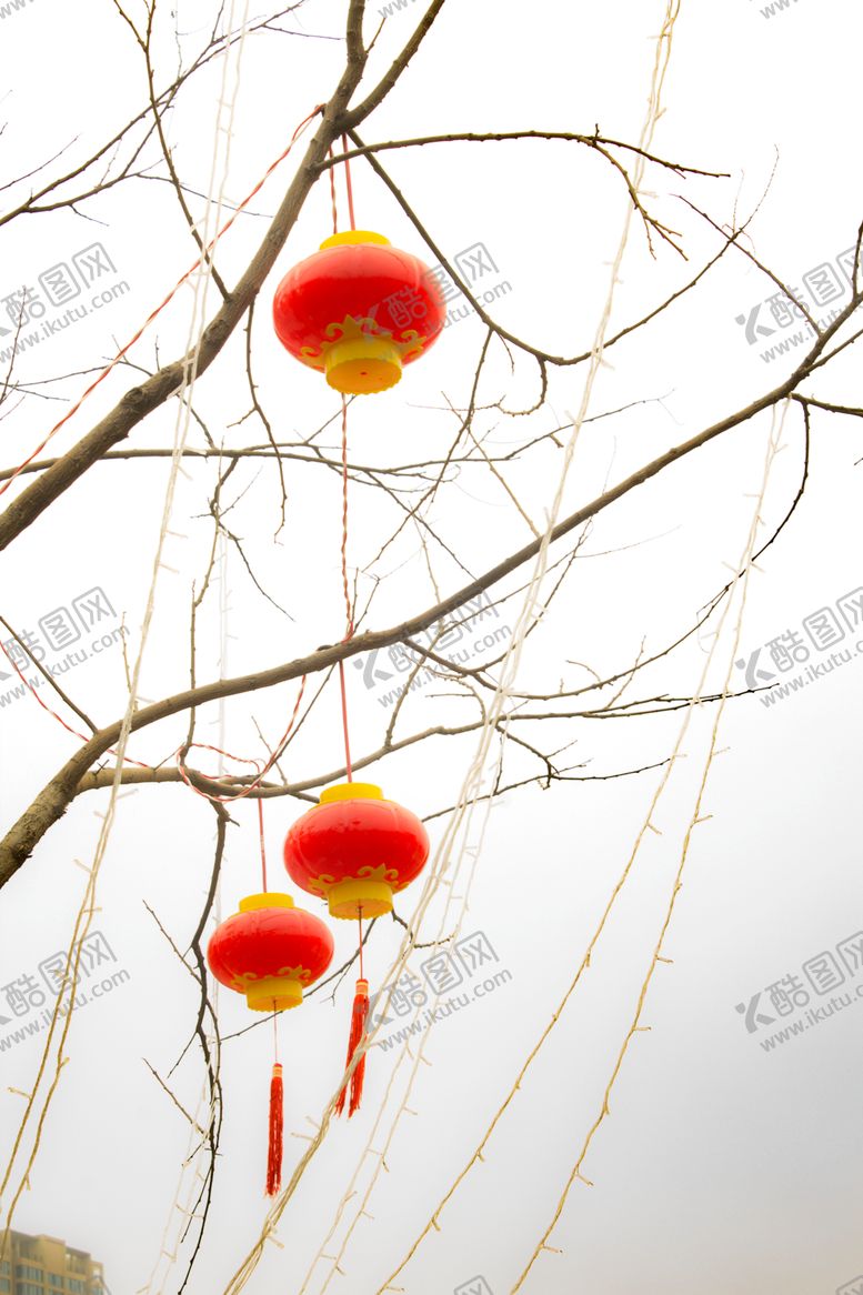 编号：12695409152111235167【酷图网】源文件下载-红灯笼