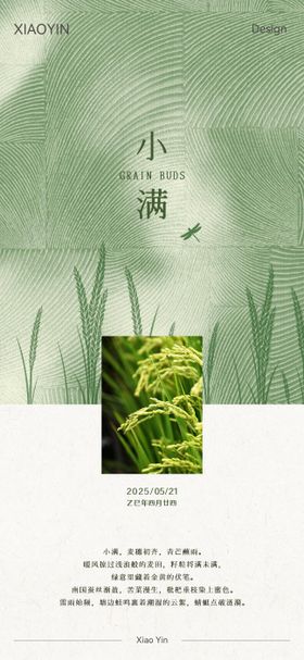 小满节气极简海报