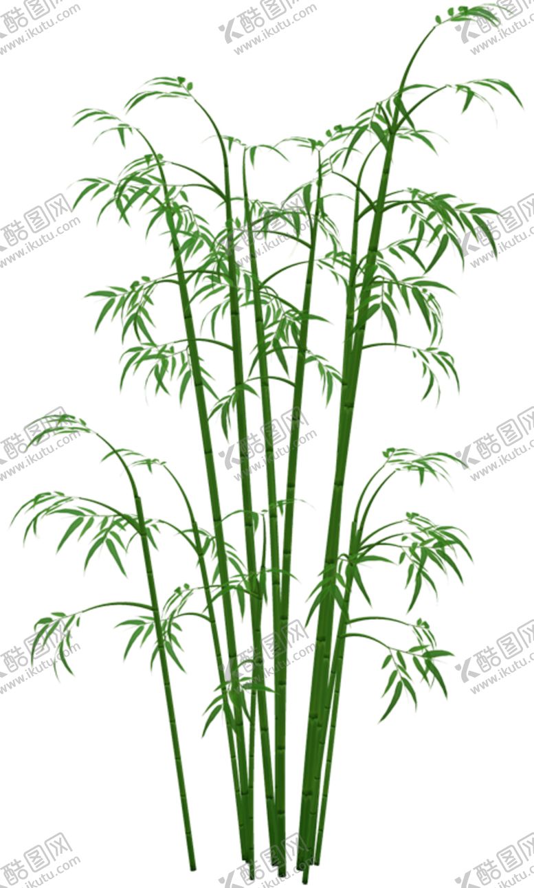 编号：69140701210030162342【酷图网】源文件下载-竹子 图片 竹叶 png  手