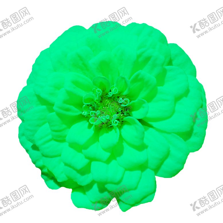 编号：95221409231217285126【酷图网】源文件下载-花素材