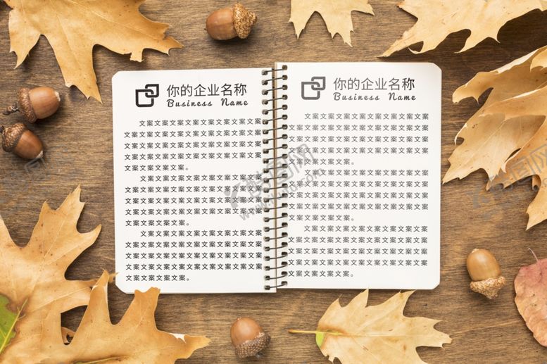 编号：53231207022355501388【酷图网】源文件下载-笔记本样机