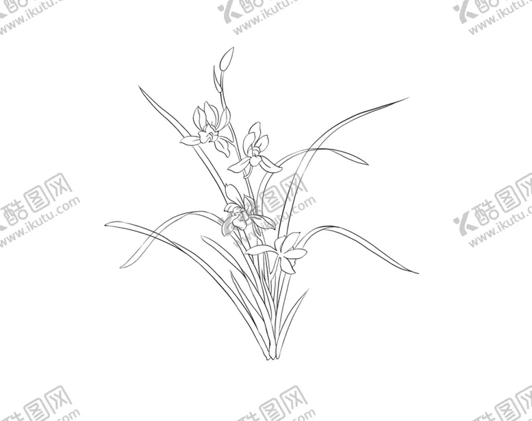 编号：35670709120430463247【酷图网】源文件下载-工笔花卉