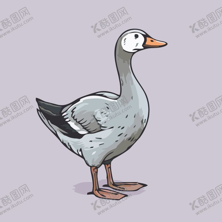 编号：87087302031054563375【酷图网】源文件下载-可爱小鸭矢量卡通画儿童插画