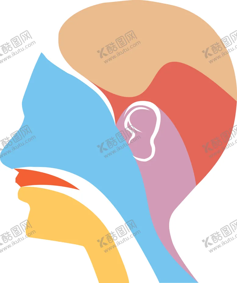 编号：73186305040604133383【酷图网】源文件下载-人头像