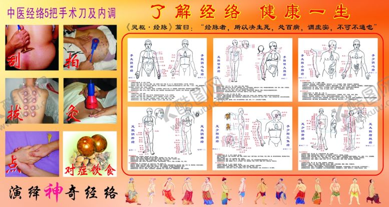 编号：31561410051216098455【酷图网】源文件下载-了解经络健康一生