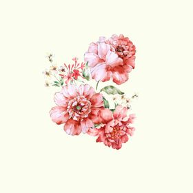手绘花