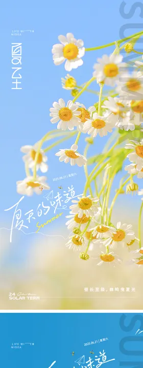 地产夏至花朵系列