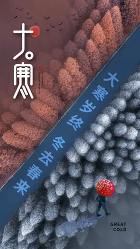 大寒海报